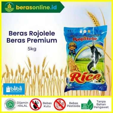 Jual Beras Rojolele 25 Kg Batu Termurah Harga Grosir Terupdate Hari