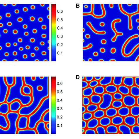 Vegetation Pattern Structure Under Different Shading Rates ρ A Hot