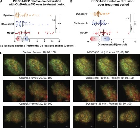 Time Lapse Imaging Of Single Cells Exposed To Treatments Live Download Scientific Diagram