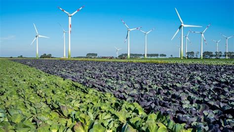 Kommunalwahl 2023 in Schleswig Holstein News und Hintergründe NDR de