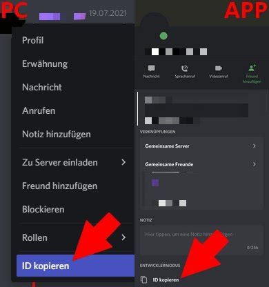 Discord IDs User Server Channel Und Message ID Finden