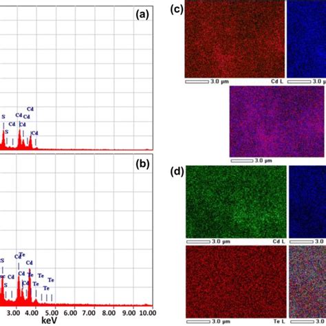 A B EDX Spectra And C D SEM Mapping Images For Pure And 2 5 Wt