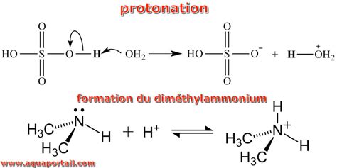 Déprotonation Définition Et Explications Aquaportail