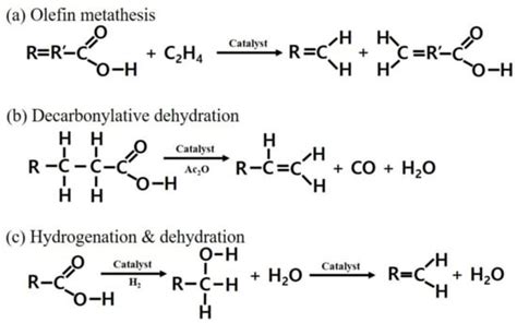 Polymers Free Full Text Selective Production Of Bio Based Linear