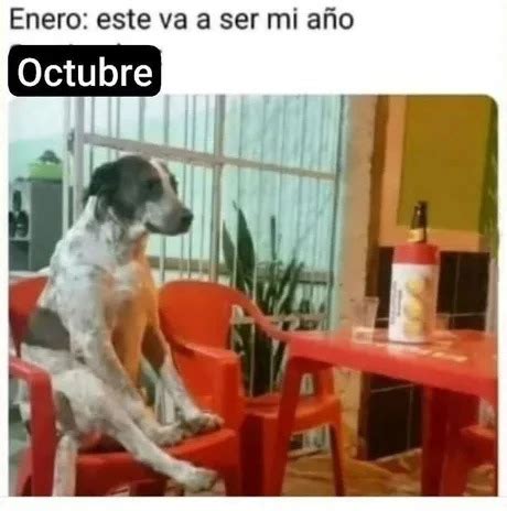 Los mejores memes de octubre Lo más viral Memedroid