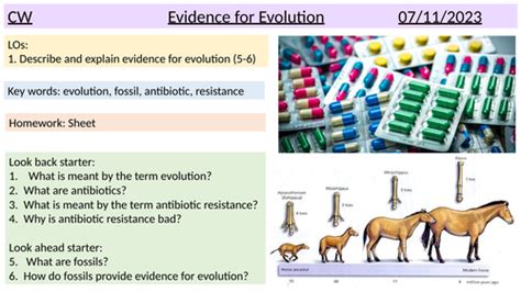 Evidence for evolution | Teaching Resources