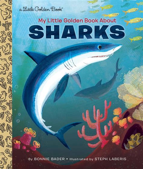 Best Shark Books for Kids, as Recommended by Teachers