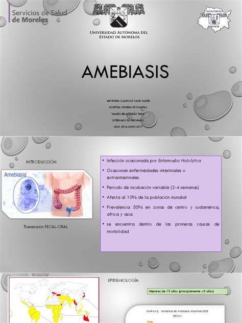 Amebiasis Pdf Epidemiología Enfermedades Y Trastornos