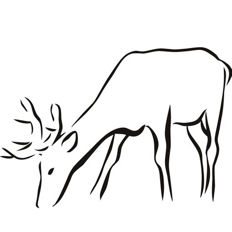 Stag 1 | Line Drawings (Outlines) | Pinterest - Cliparts.co