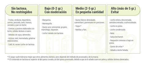 Dieta para intolerantes a la lactosa qué puedes comer y qué no DoctorAkí