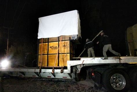 Carlos Camacho El Fundador De Africam Safari Donde Llegó Benito