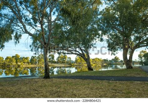 Riverbank Wimmera River Background Texture Australian Stock Photo