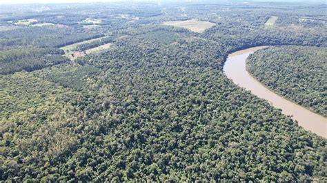 Día Internacional de la Madre Tierra Misiones continúa con monitoreos