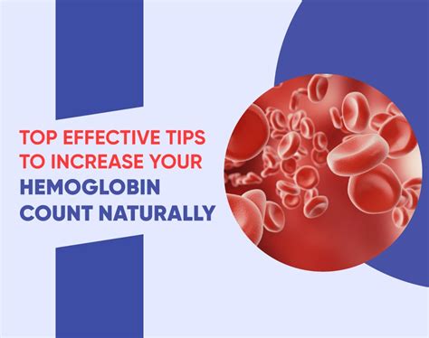 Top Effective Tips To Increase Your Hemoglobin Count Naturally