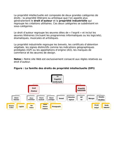 La Propri T Intellectuelle Est Compos E De Deux Grandes Cat Gories De