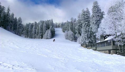 Snow Play in the Grand Canyon State | Visit Arizona