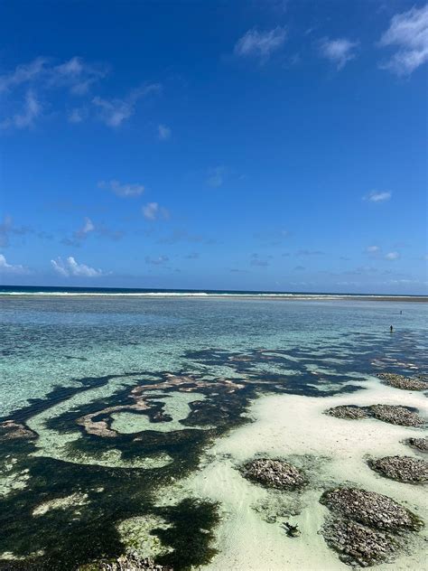 Mtende Beach Zanzibar Island All You Need To Know Before You Go