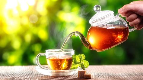 Diferencias entre té tisana o infusión y sus propiedades UnoTV