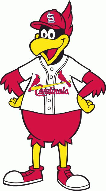 St Louis Cardinals Wordmark Clip Art Library