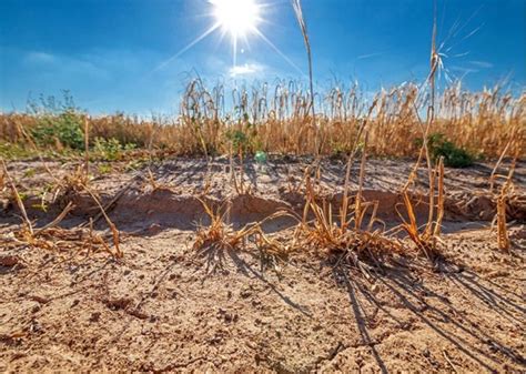 Meurthe et Moselle Niveau alerte sécheresse Ville de Joeuf