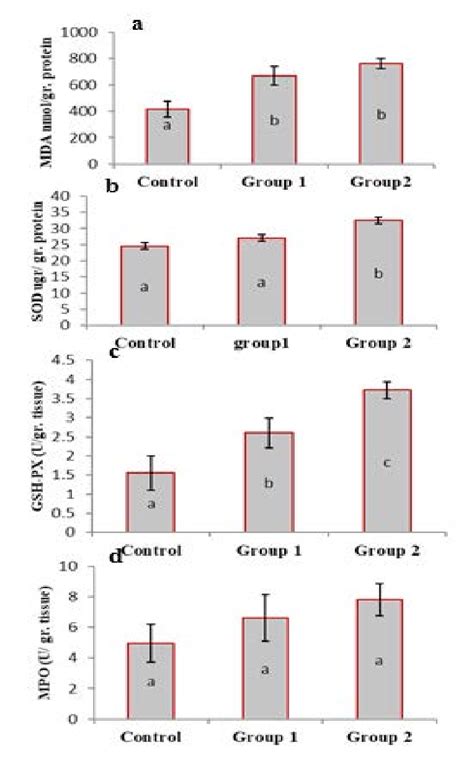 Changes In A MDA B SOD C GSH Px And D MPO In Liver Tissue As