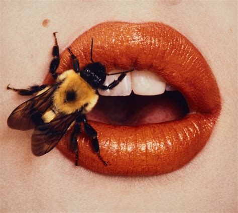 Irving Penn Photographs London Thursday November Phillips