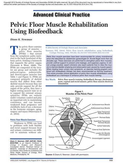 Biofeedback For Pelvic Floor Disorders | Viewfloor.co