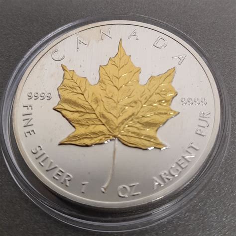 Oz Silber Maple Leaf Canada Gilded Kaufen Auf Ricardo