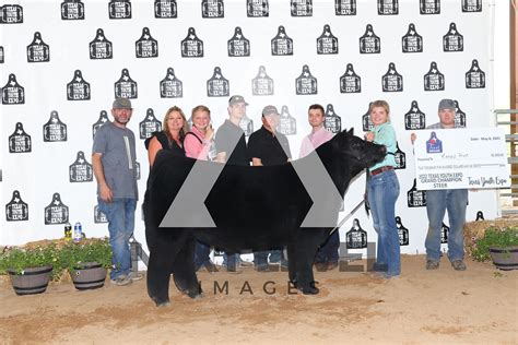 Steer Show Next Level Images