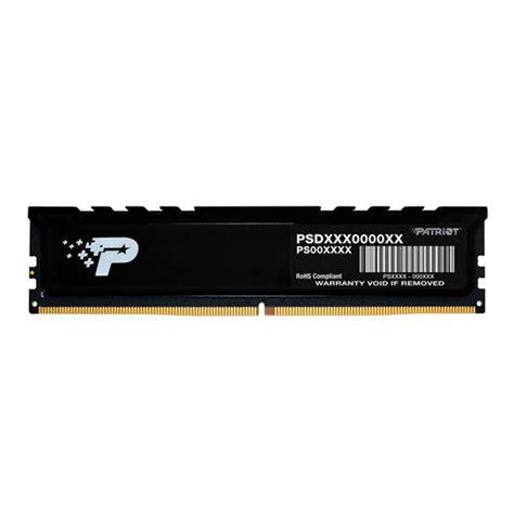 Memoria RAM Patriot Signature Premium DDR5 4800MHz 8GB Non ECC