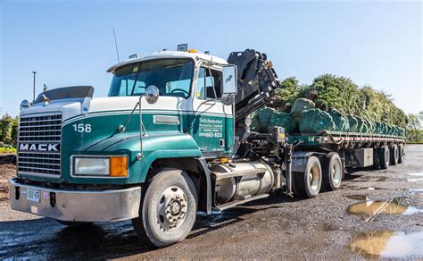 Six Tips For Transporting Trees Dutchmaster Nurseries Ltd