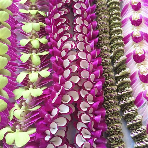 Fresh Hawaiian Orchid Leis Delivered Flower Leis As Low As 990