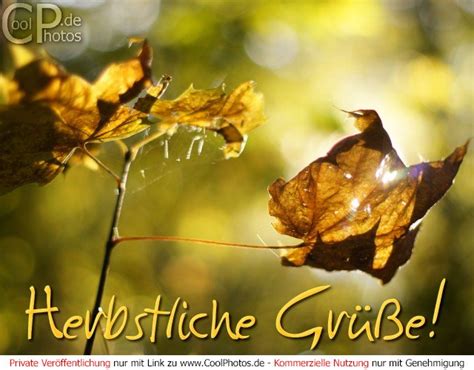 Coolphotos De Fotos Herbst Herbstkarten Herbstliche Grüße