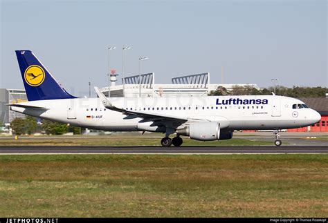 D AIUF Airbus A320 214 Lufthansa Thomas Rosskopf JetPhotos