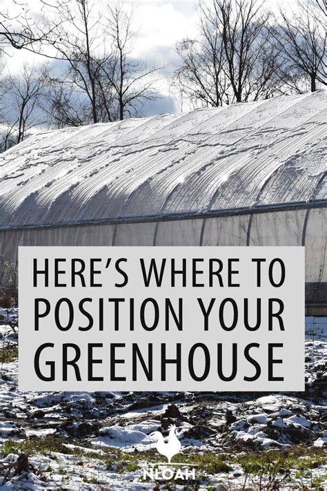 How To Heat A Greenhouse In Winter Artofit