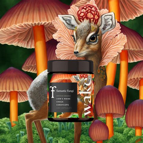 Fantastic Fungi Wake Capsules