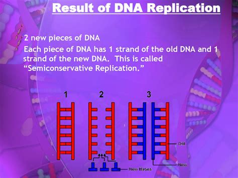 Dna And Rna Unit 7 Chapter Ppt Download