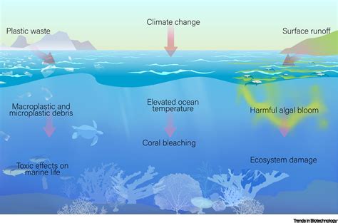 Harnessing Synthetic Biology To Enhance Ocean Health Trends In