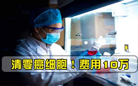 30分钟清零癌细胞！我国首个抗癌硼药中试成功，费用仅10万哔哩哔哩bilibili