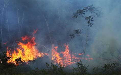 How Did The Amazon Forest Fire Start – travelweeksaopaulo.com