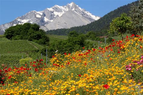 Haut De Cry Vs M Berg Montagne Montagna Mounta Flickr