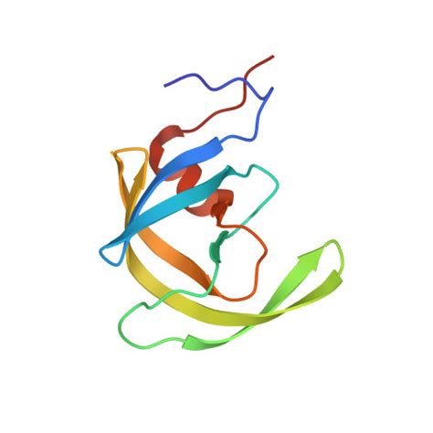 Rcsb Pdb Oyr X Ray Crystal Structure Of Wild Type Hiv Protease In