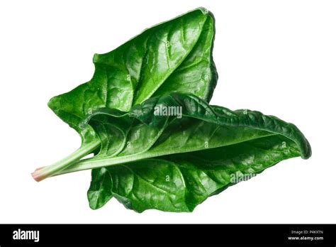 Spinach Leaves Overturned Spinacia Oleracea Top View Stock Photo