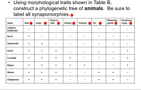 Solved Using Morphological Traits Shown In Table B Construct A