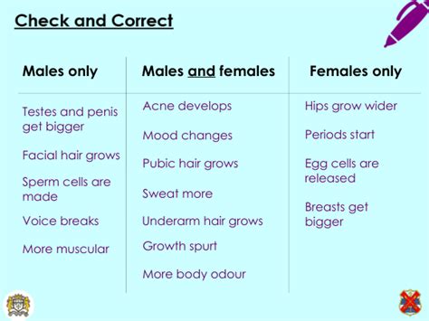 Ks3 Puberty Lesson Science Teaching Resources