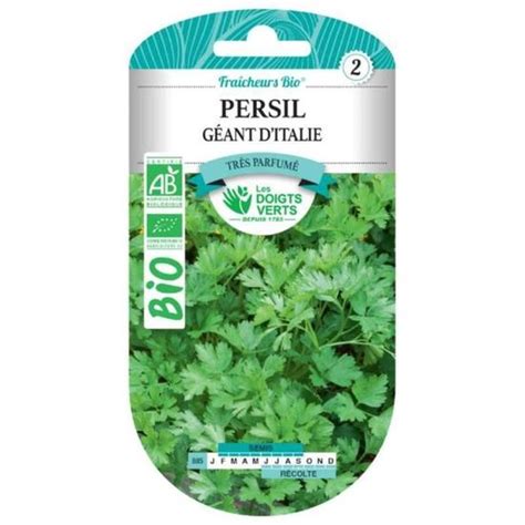 Graines Persil G Ant D Italie Bio Les Doigts Verts Cdiscount Jardin