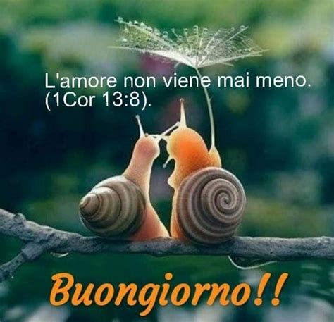 Pin Di Sina Su Buongiorno Buonanotte 2 Buongiorno Immagini