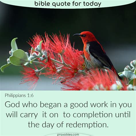 Bible: Philippians 1:6 - Prayables