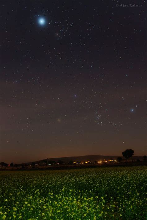 The Brightest Stars in the Sky: A Starry Countdown | Space