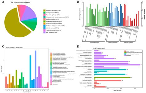 Frontiers Functional Characterization Of CYP96T1 Like Cytochrome P450